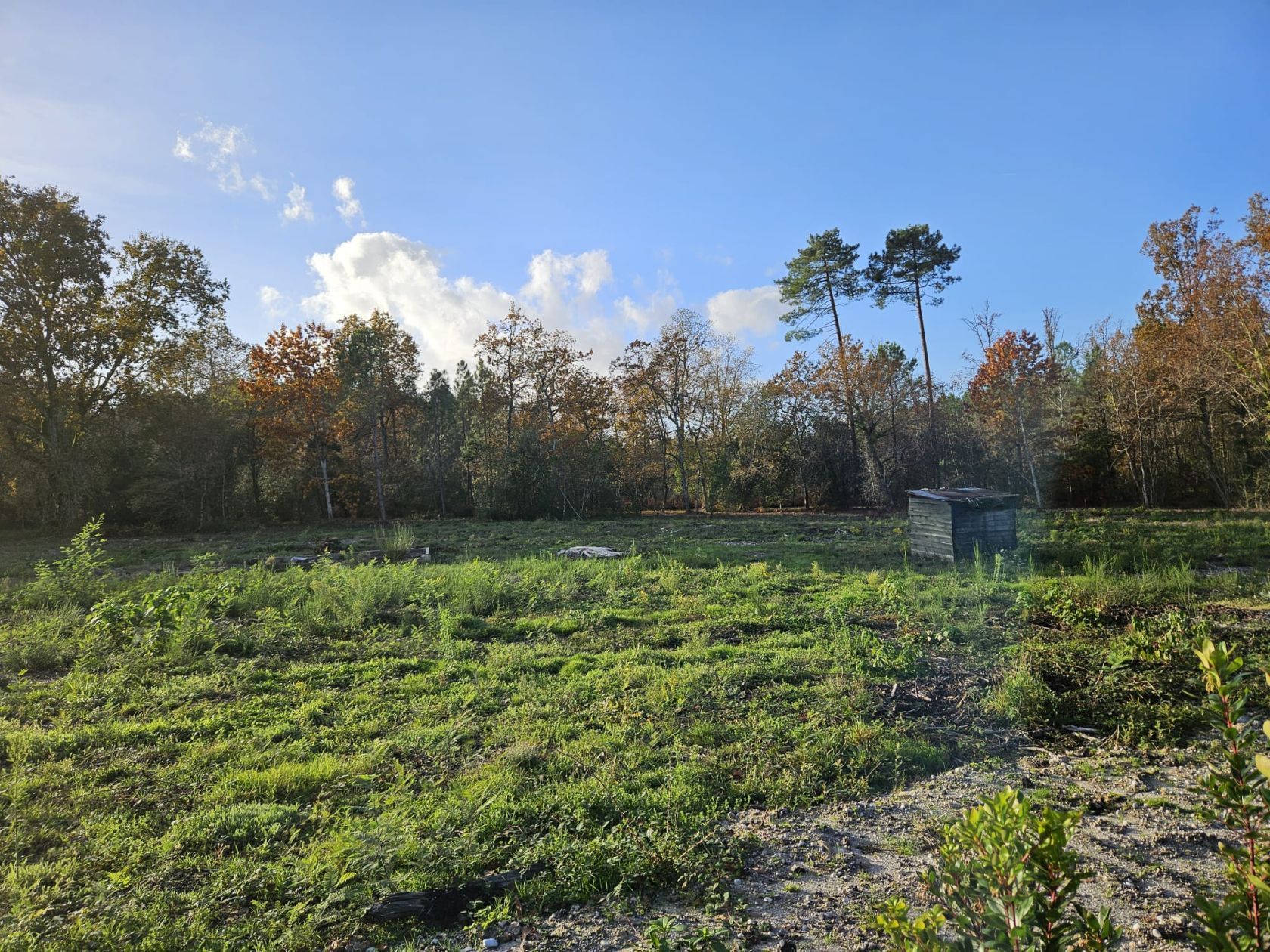 Terrain à bâtir de 690 m² à LEOGNAN (33) - visuel 2