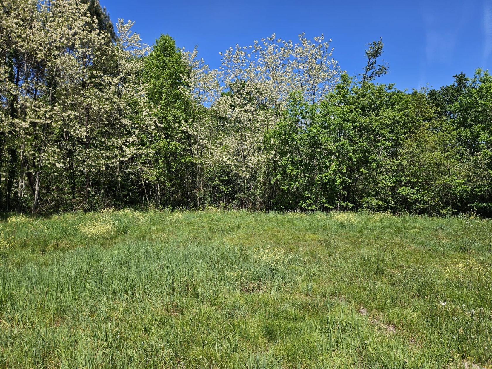 Terrain à bâtir de 721 m² à LE TUZAN (33) - visuel 1