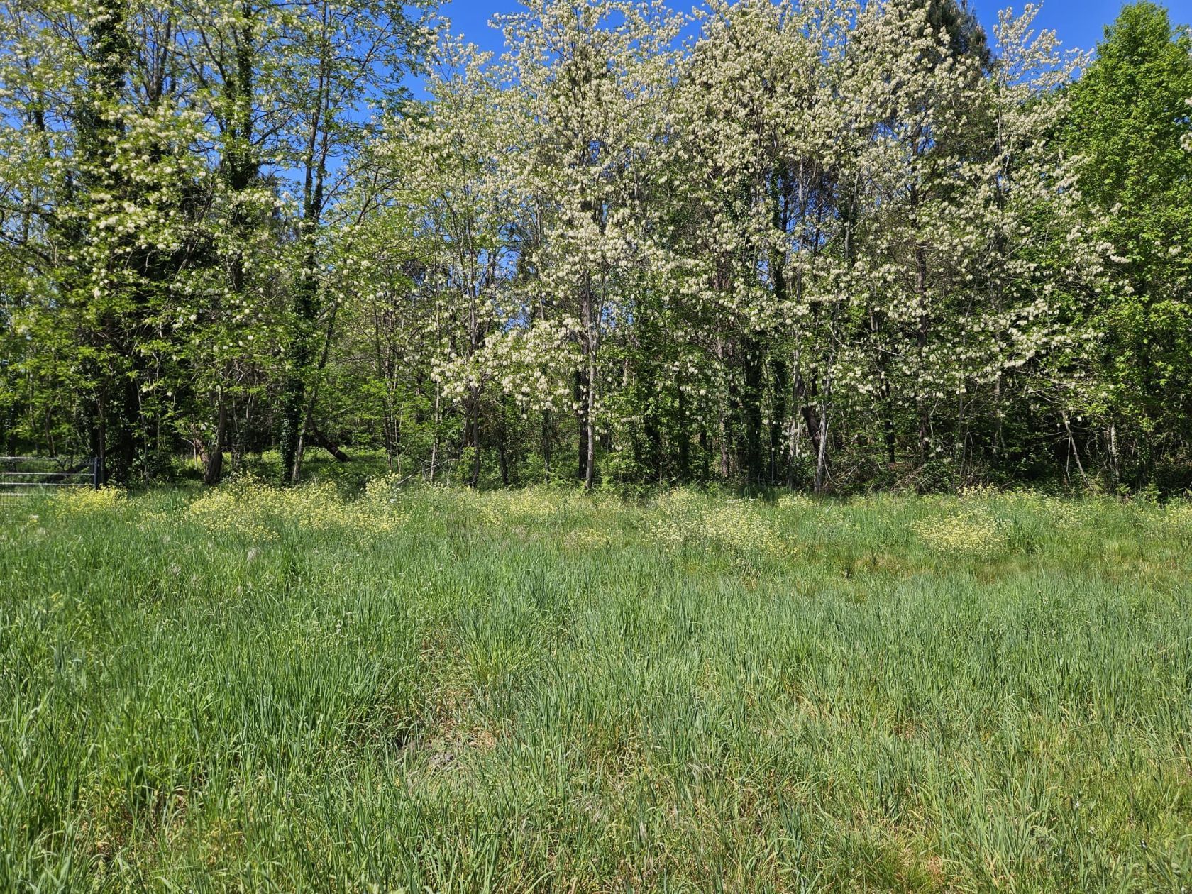 Terrain à bâtir de 721 m² à LE TUZAN (33) - visuel 2