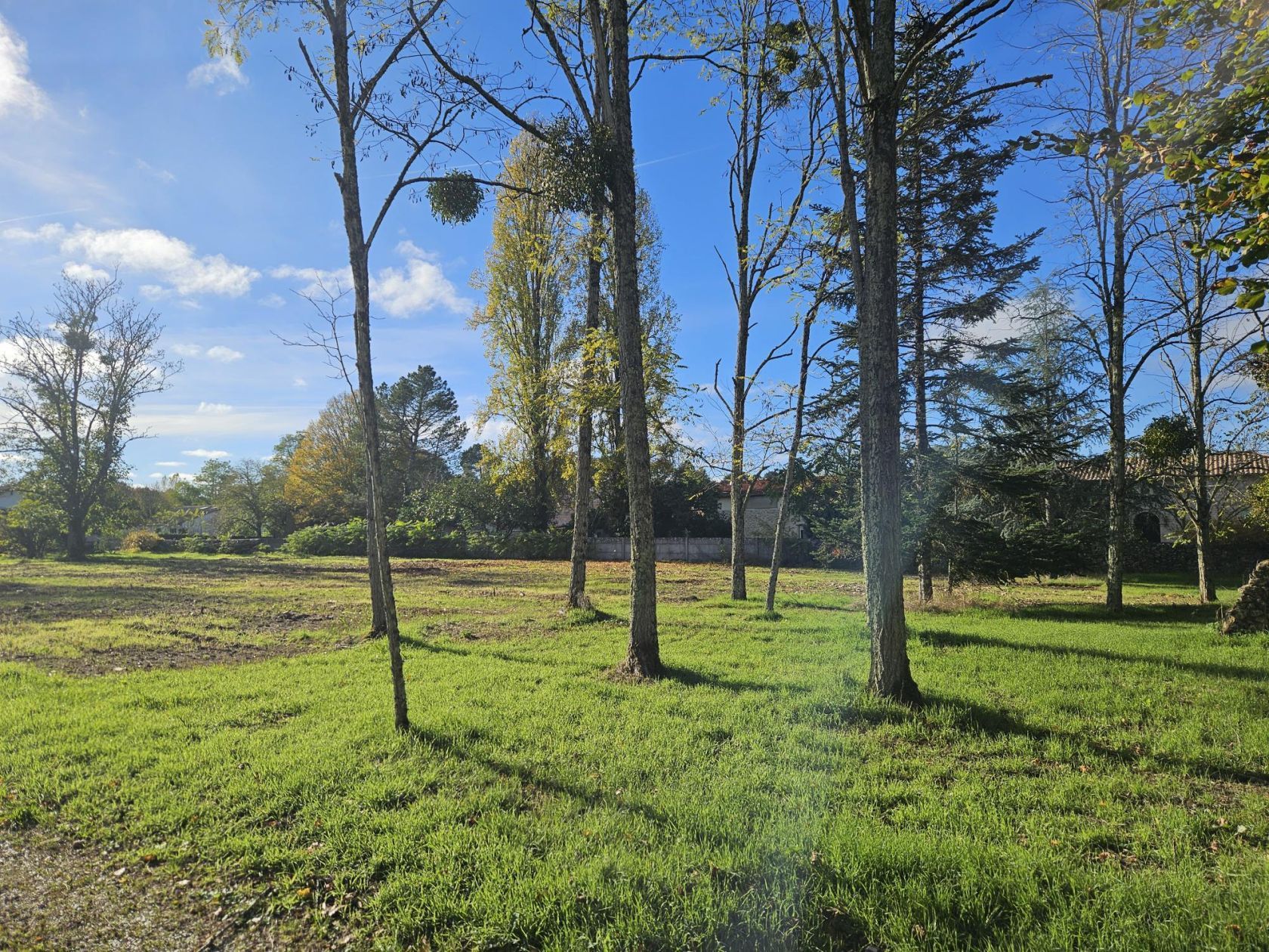 Projet de construction d'une maison 80 m² avec terrain à LANDIRAS (33) - visuel 6