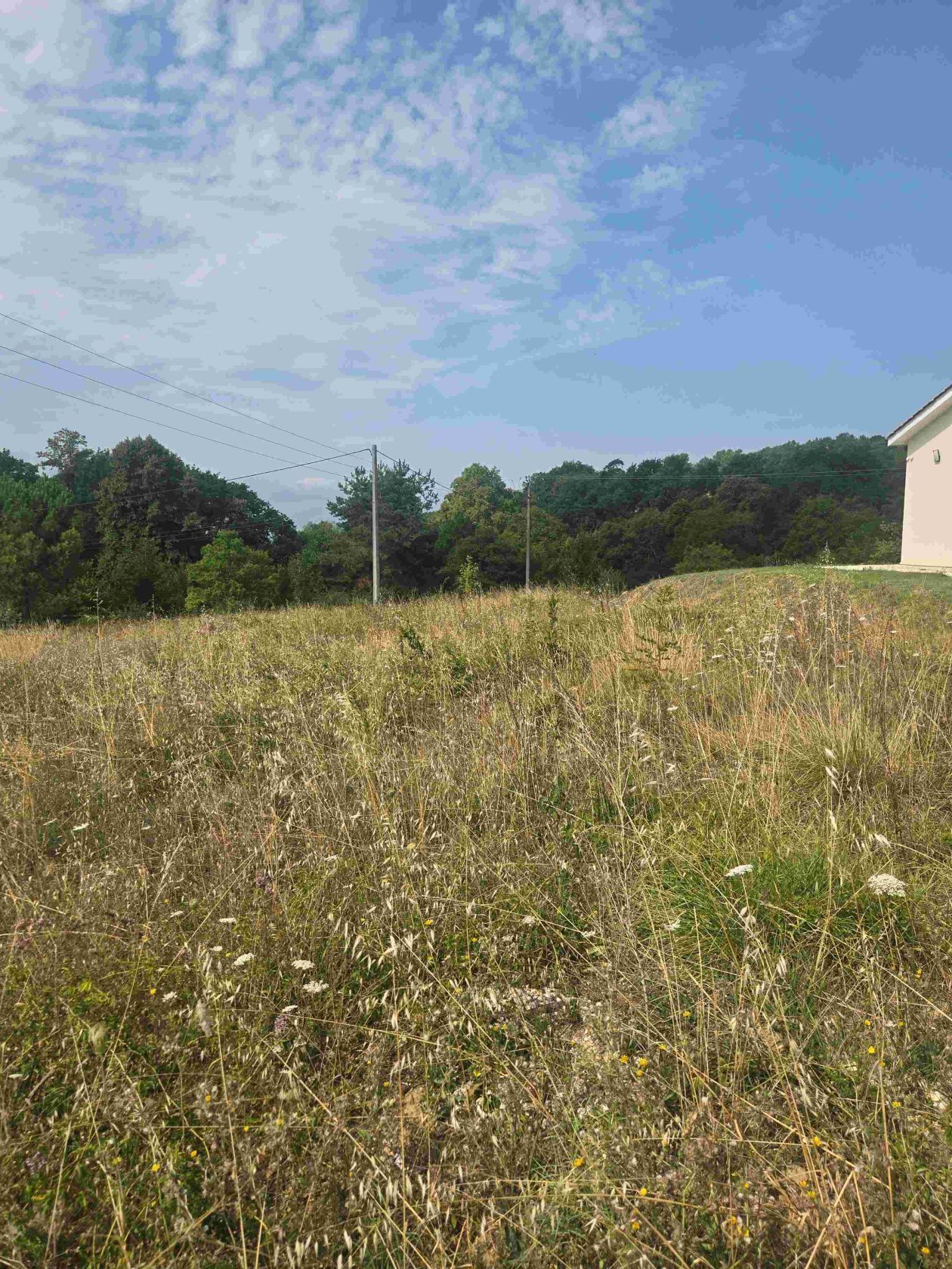Terrain à bâtir de 960 m² à CASSEUIL (33) - visuel 3