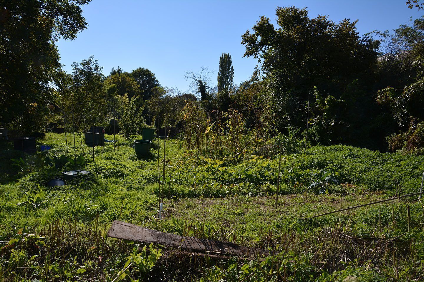 Terrain à bâtir de 500 m² à SAINT-PERDON (40)