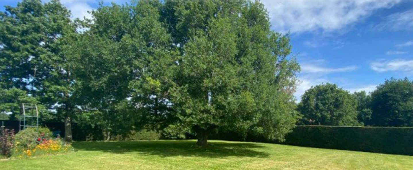 Terrain à bâtir de 380 m² à PREIGNAC (33) - visuel 1