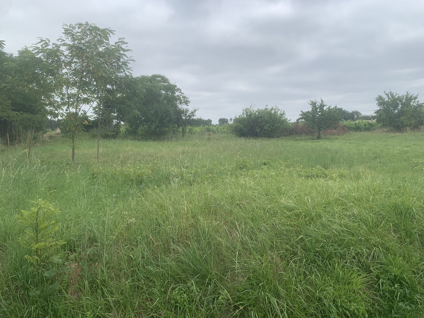 Terrain à bâtir de 800 m² à SAINT-PIERRE-DE-MONS (33)