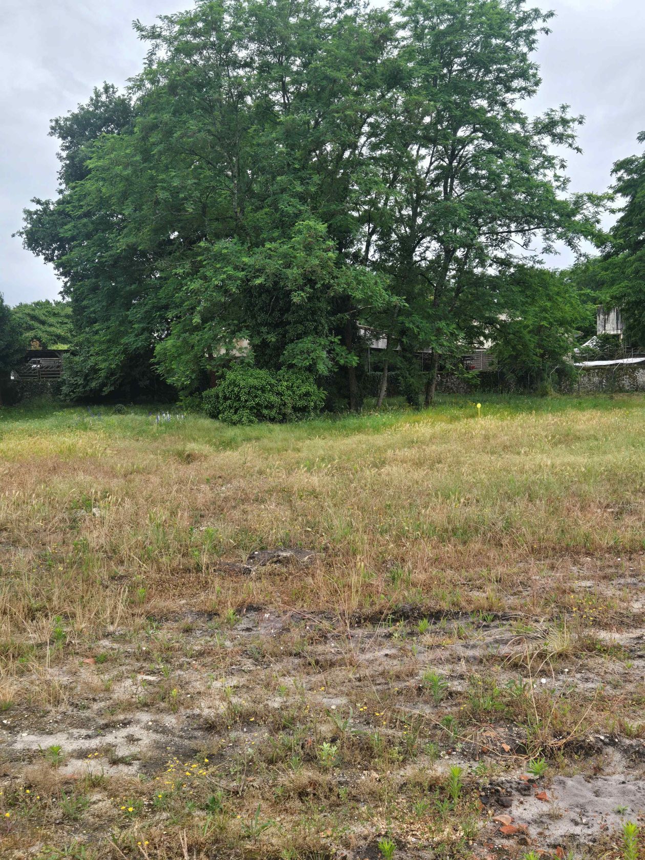 Projet de construction d'une maison 70 m² avec terrain à LANDIRAS (33) - visuel 8