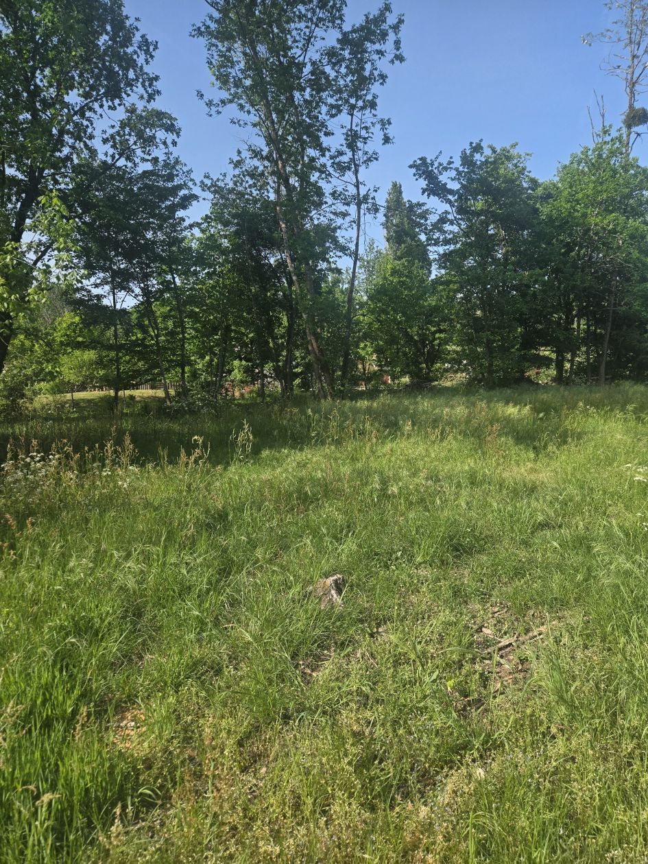 Projet de construction d'une maison 100 m² avec terrain à SAINT-SELVE (33) - visuel 6