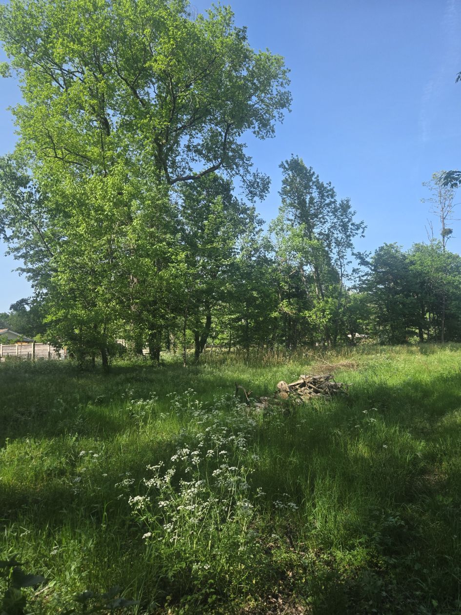 Projet de construction d'une maison 100 m² avec terrain à SAINT-SELVE (33) - visuel 8