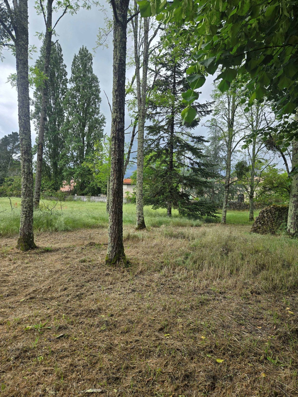 Projet de construction d'une maison 90 m² avec terrain à LANDIRAS (33) - visuel 8