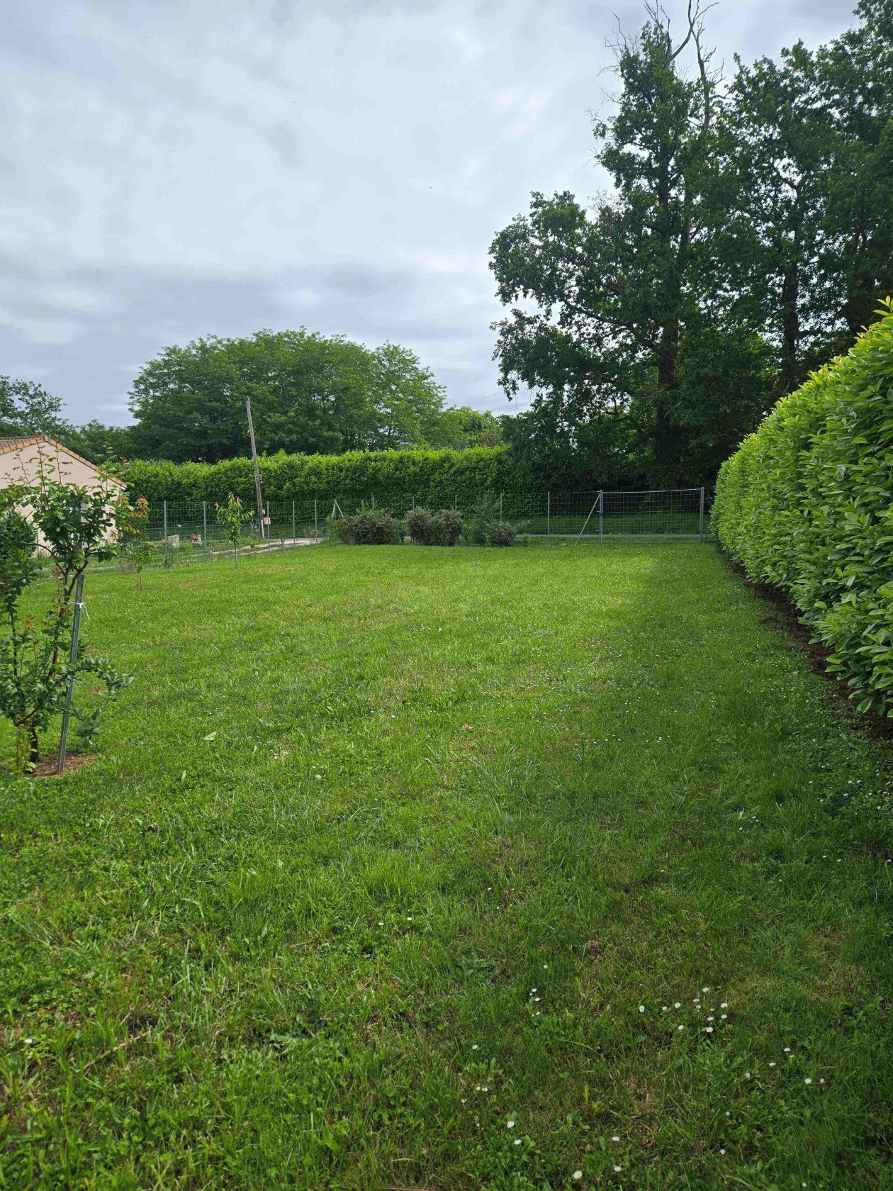 Projet de construction d'une maison 70 m² avec terrain à VERDELAIS (33) - visuel 8
