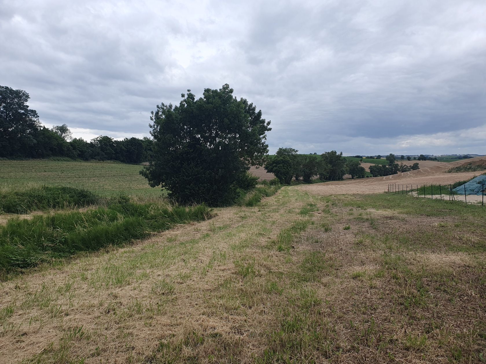 Terrain à bâtir de 1584 m² à DAMIATTE (81)