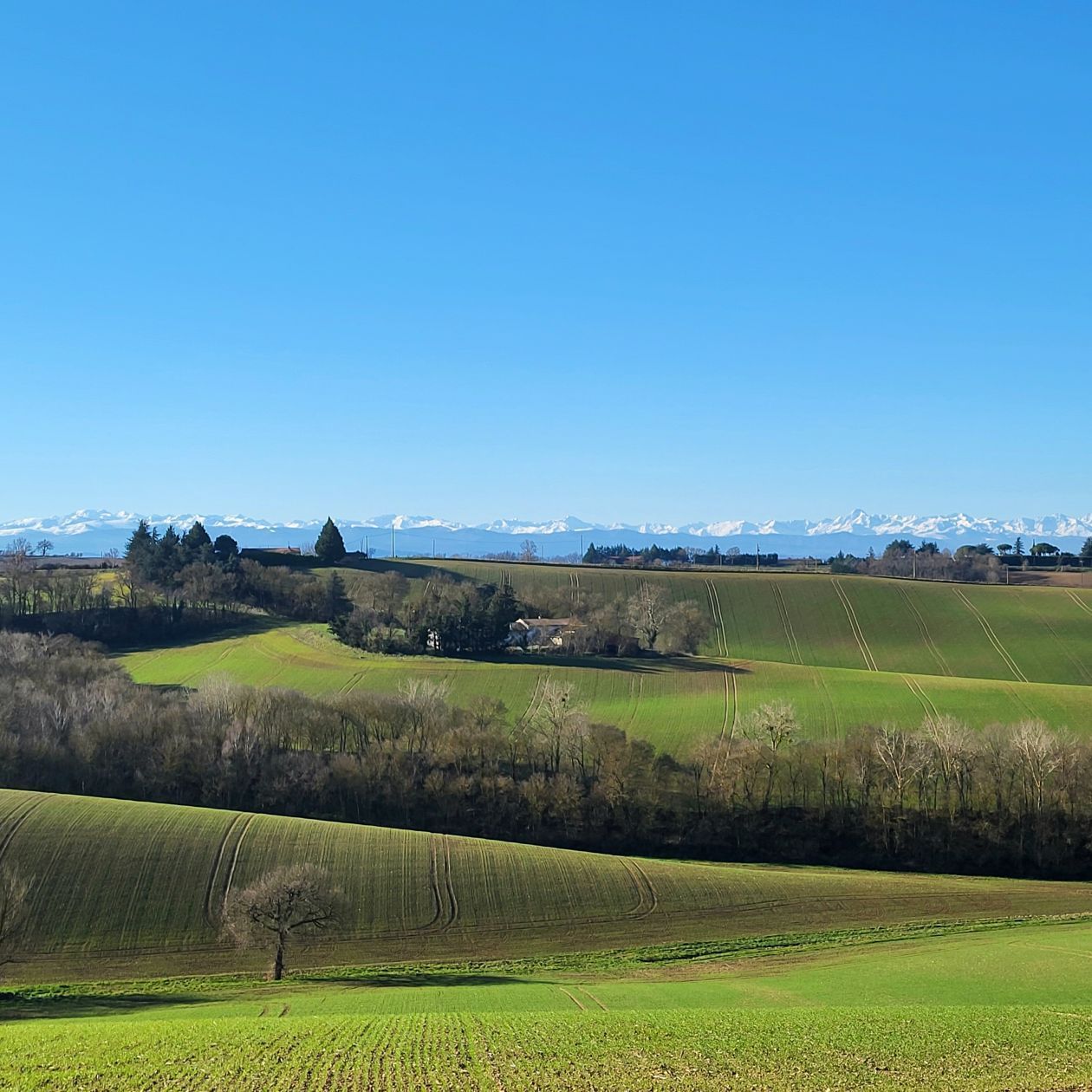 Terrain à bâtir de 500 m² à LAGARDE (31) - visuel 1