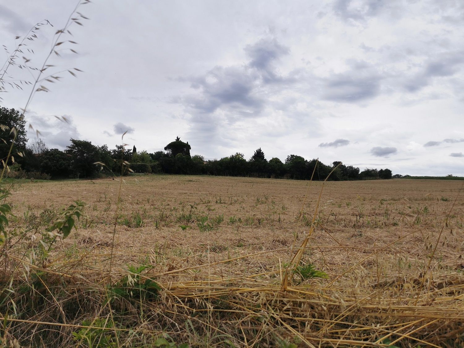 Terrain à bâtir de 800 m² à VACQUIERS (31)