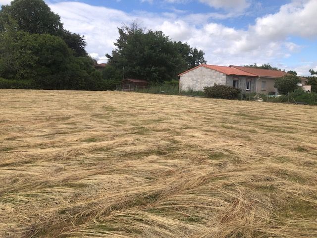 Terrain à bâtir de 1000 m² à LAVELANET-DE-COMMINGES (31) - visuel 1