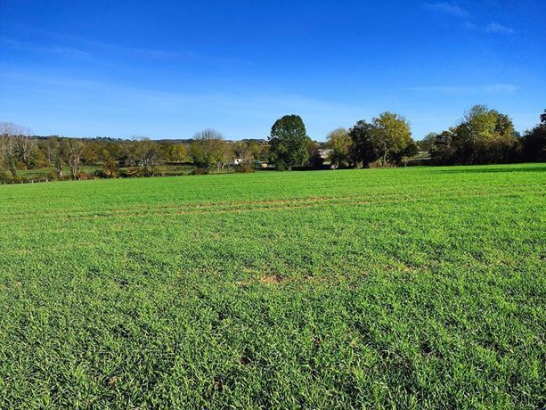 Terrain à bâtir de 945 m² à VERFEIL (31)