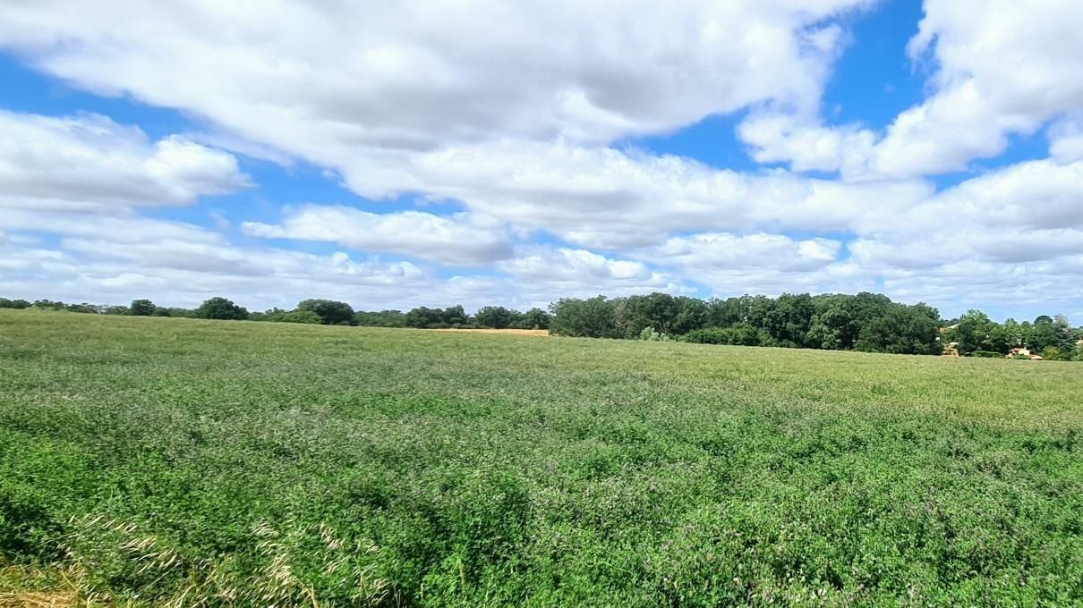 Terrain à bâtir de 800 m² à AUZIELLE (31)