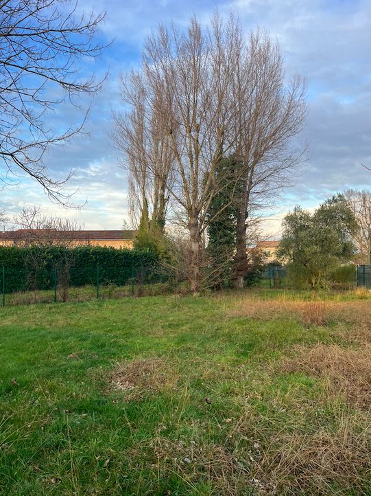 Projet de construction d'une maison 80 m² avec terrain à FONSORBES (31) - visuel 7