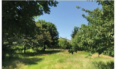 Projet de construction d'une maison 100 m² avec terrain à PESSAC (33) - visuel 6