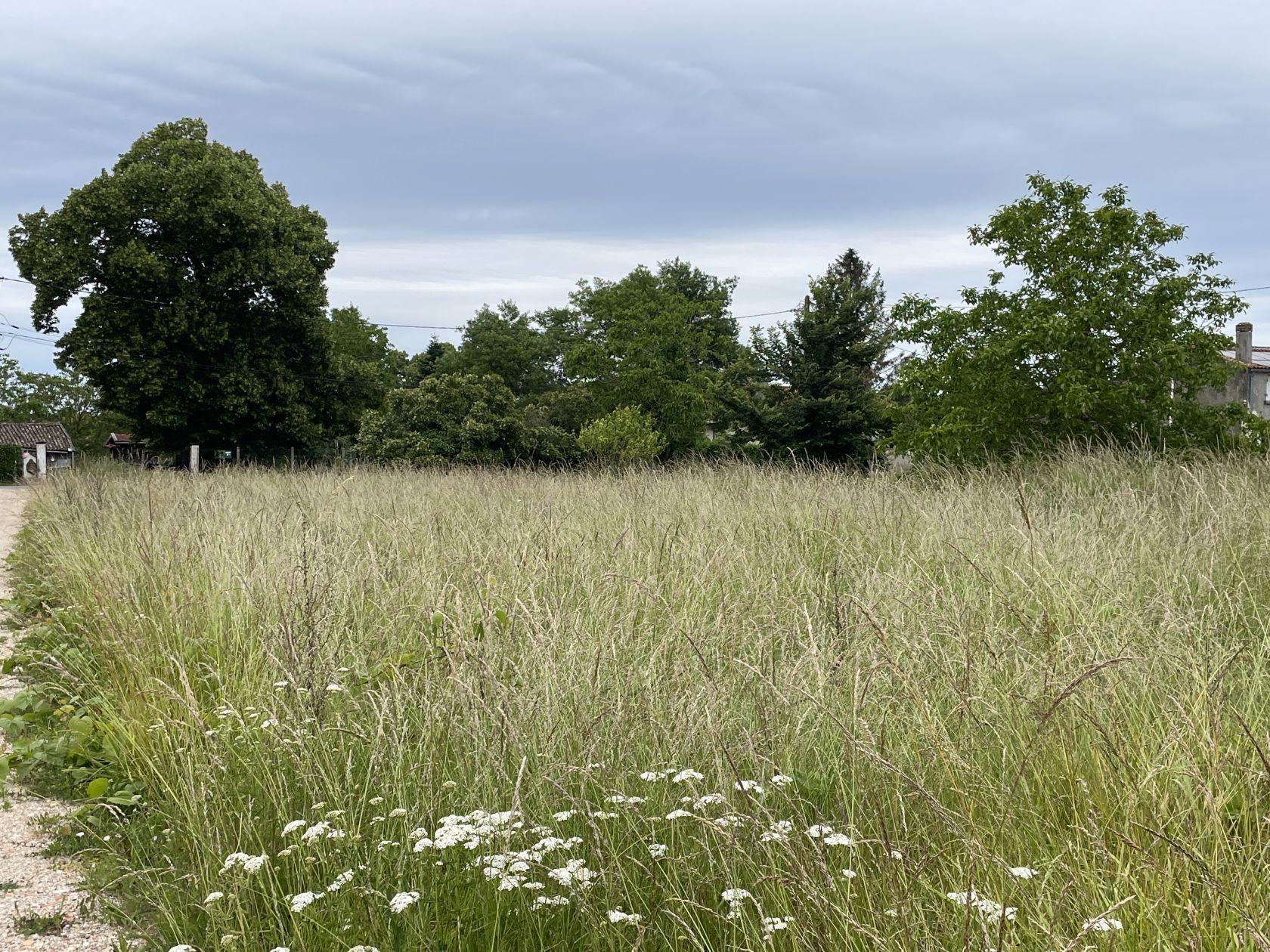 Terrain à bâtir de 1000 m² à CASTELNAU-DE-MEDOC (33)