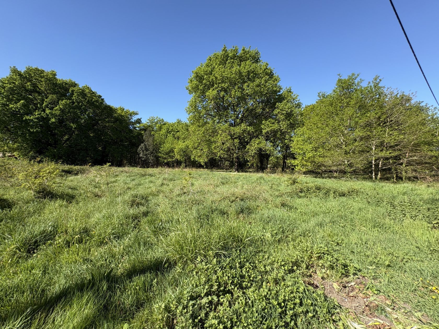 Terrain à bâtir de 1909 m² à CASTELNAU-DE-MEDOC (33) - visuel 1