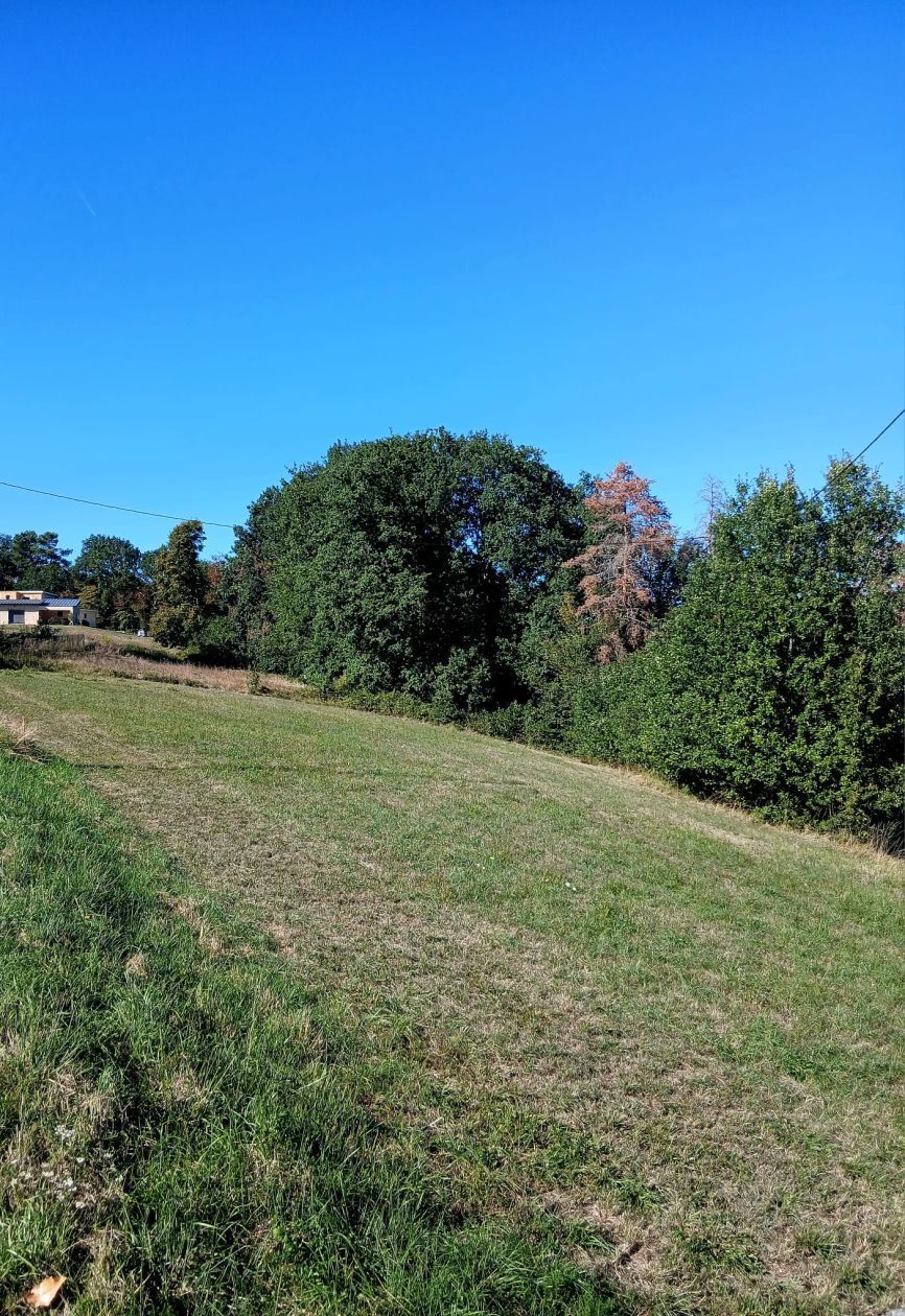 Projet de construction d'une maison 130 m² avec terrain à SARLAT-LA-CANEDA (24) - visuel 6