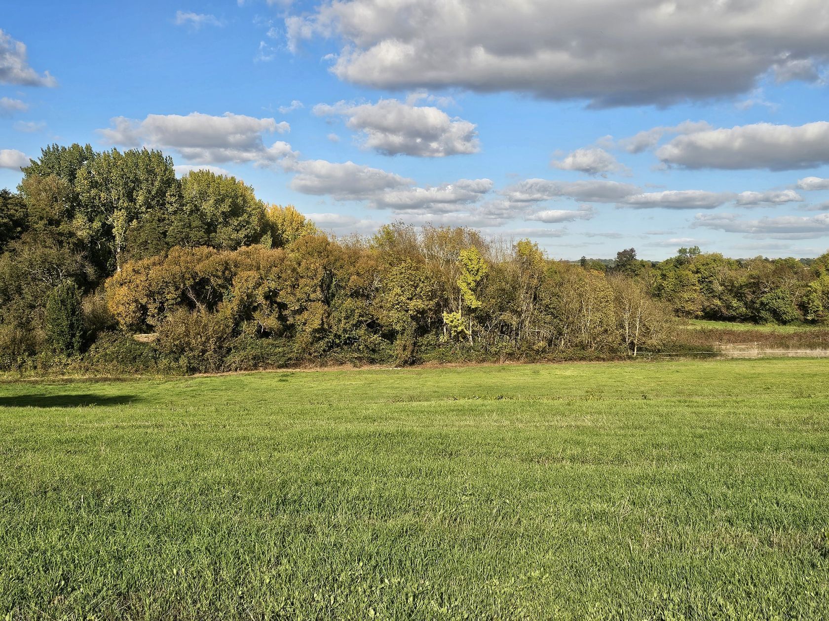 Terrain à bâtir de 1069 m² à VIRELADE (33) - visuel 4