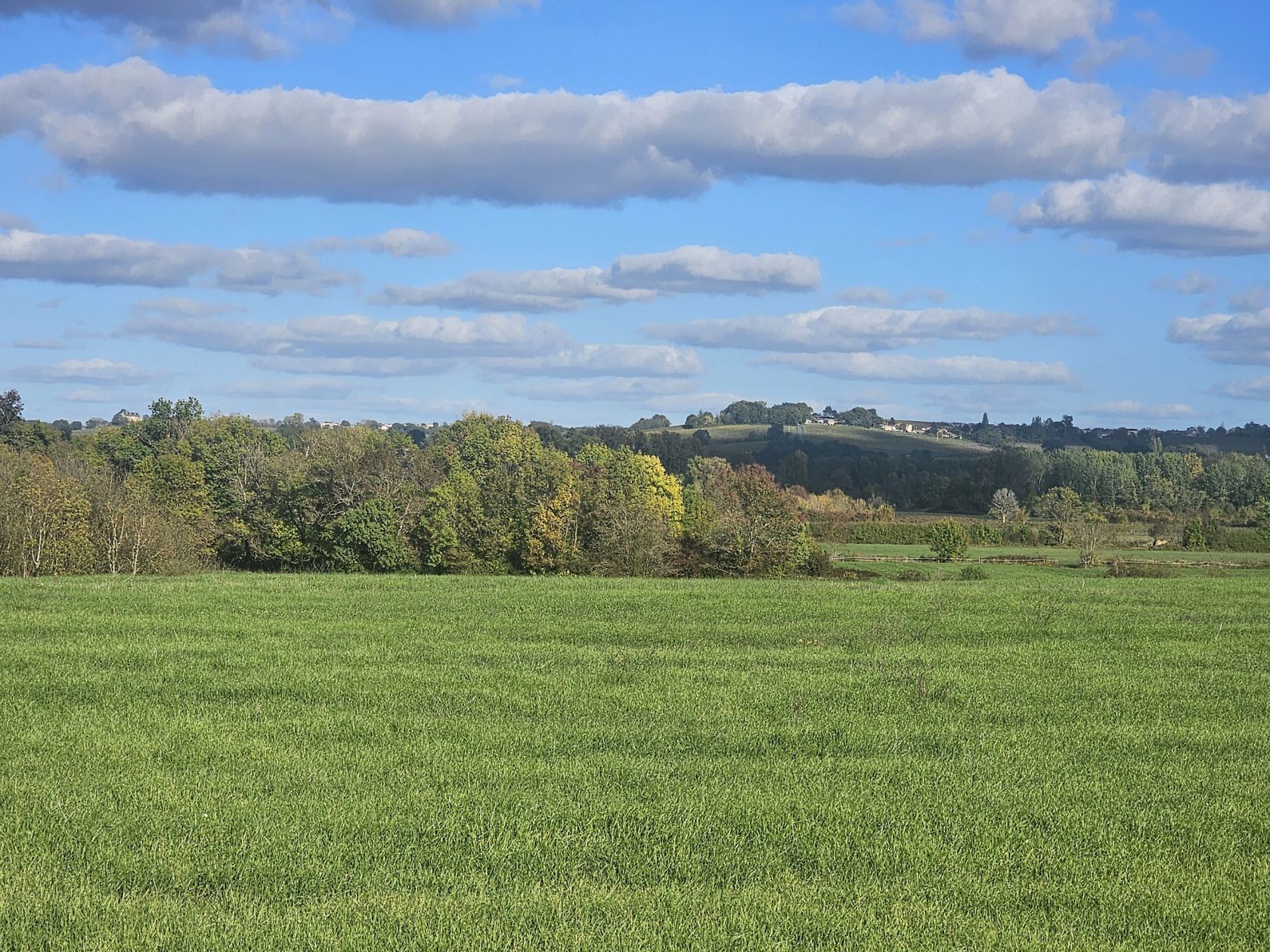 Terrain à bâtir de 1069 m² à VIRELADE (33) - visuel 1