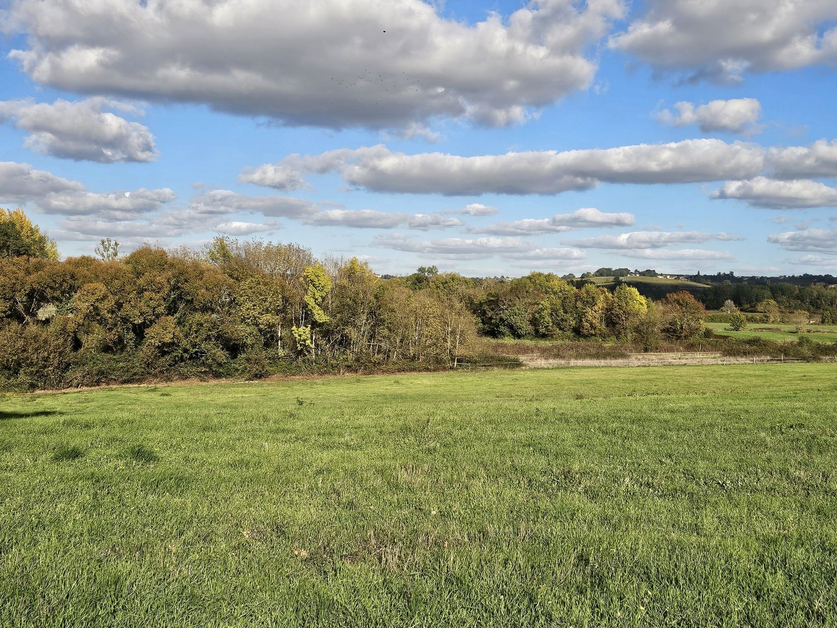 Terrain à bâtir de 1069 m² à VIRELADE (33) - visuel 2